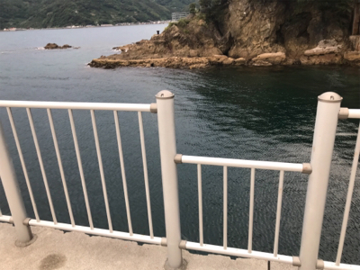 フカセ釣り サバとグレ