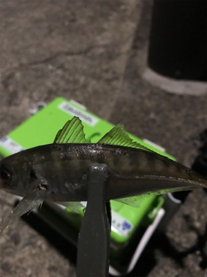 24時間アジング