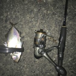 夜はライトゲーム