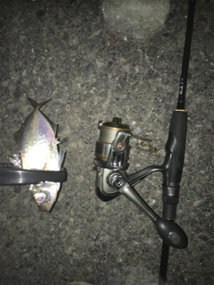 夜はライトゲーム