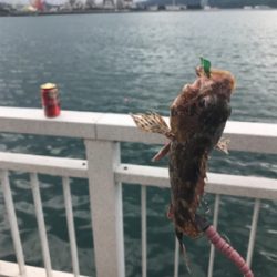 ジグサビキ恐るべし！