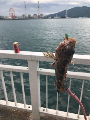 ジグサビキ恐るべし！