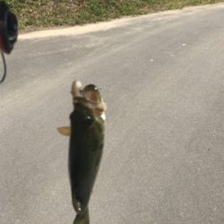 初五名ダムその他もろもろ