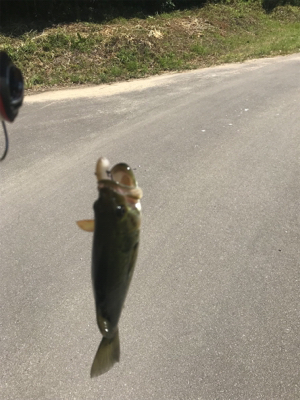 初五名ダムその他もろもろ