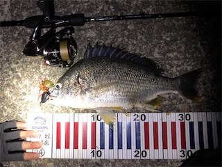 武庫川チニング