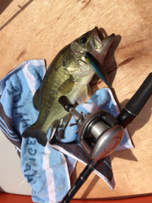 食い上げバイト！