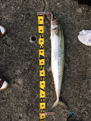 自己記録更新 １０UP