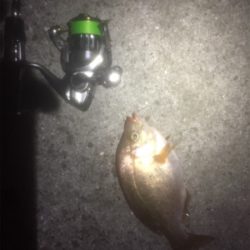 朝までメバリング！