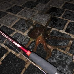 オクトパッシング