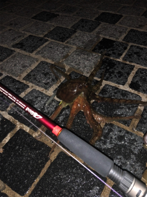 オクトパッシング