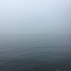 アジは無くとも20cm超え