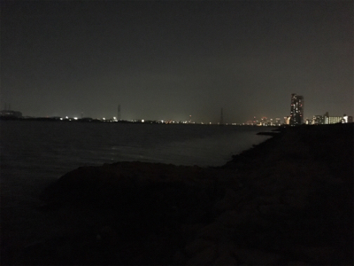 淀川ブリームゲーム キビレはどこへ？