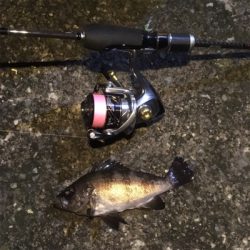 ラストメバリング