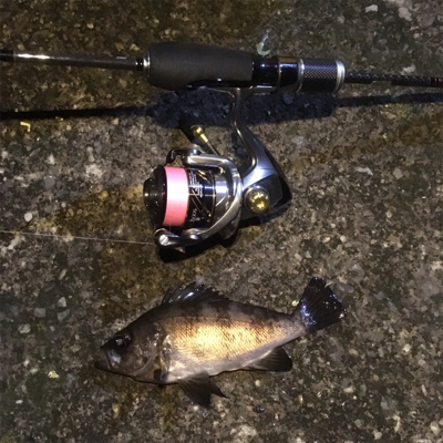 ラストメバリング