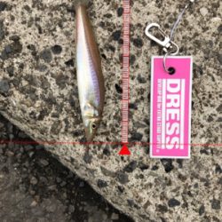 雨上がりのキス