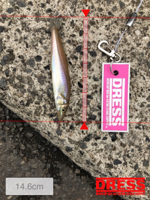 雨上がりのキス