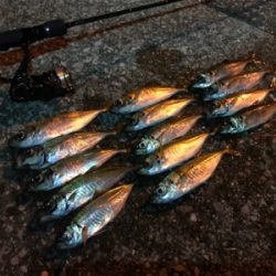 もちょい、長さ欲しいアジング