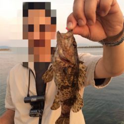 ライトゲーム去年とは違う?