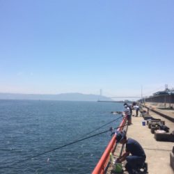 水潮だとこんなもん?