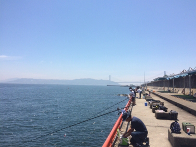 水潮だとこんなもん?