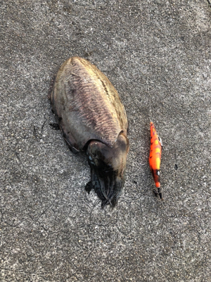 今日も仕事帰りに〜