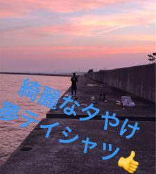 アナゴ釣りと五目釣り