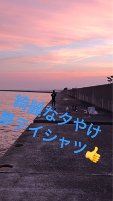 アナゴ釣りと五目釣り