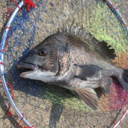 今日の沖堤防アタリ極少