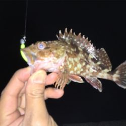 メバリングしてたら…