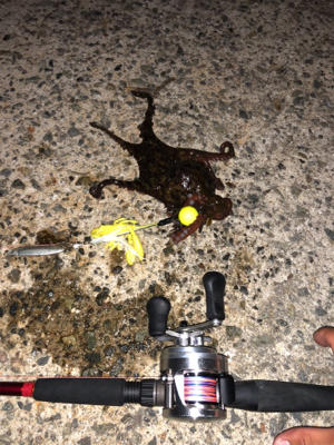 オクトパッシング