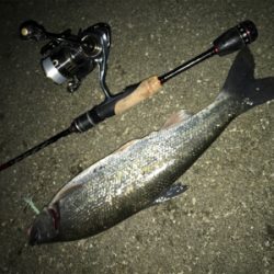 初ギガ‼︎……?(釣行 其の弐拾七)