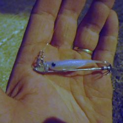 またまたライトエギング‼️