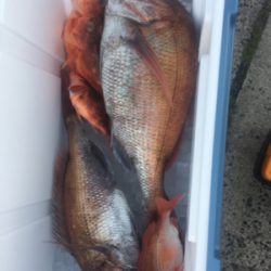 ディープタイラバ