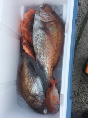 ディープタイラバ