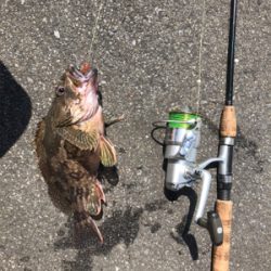 休み１日釣り三昧