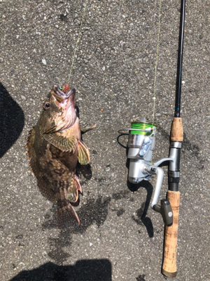 休み１日釣り三昧