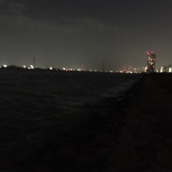 淀川ブリームゲーム 食い渋る際の対処法