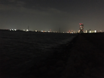 淀川ブリームゲーム 食い渋る際の対処法