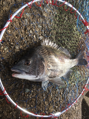 雨上がりを期待して