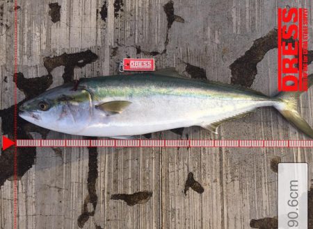 鰤くんゲットん