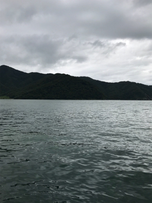 今日のサビキは ？