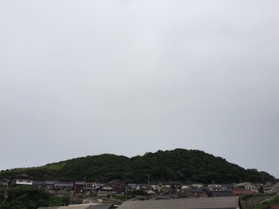 カマス釣れました