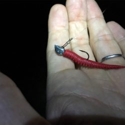 淀川ブリームゲーム ライトブリームゲーム