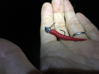 淀川ブリームゲーム ライトブリームゲーム