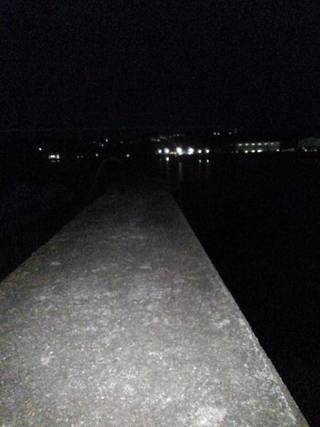 ガシラ探索⁉️