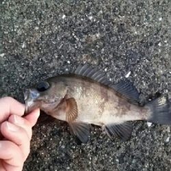 シーズン終了前に