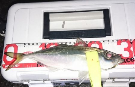 ライトゲーム！