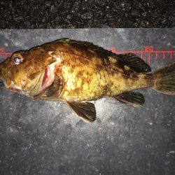 神戸ガシリング3