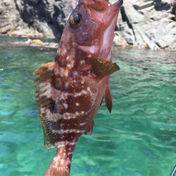 高浜　音海での手漕ぎボート