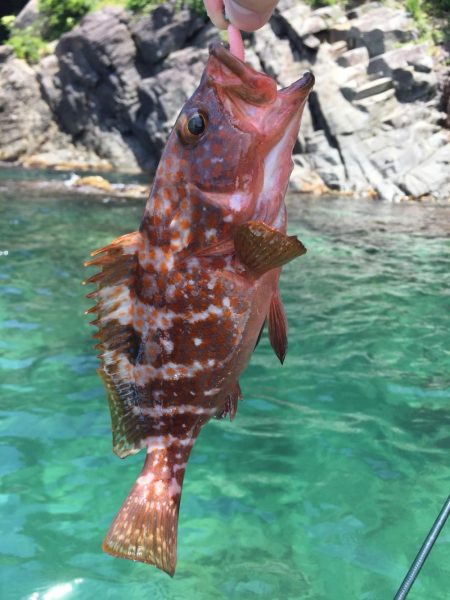 高浜　音海での手漕ぎボート